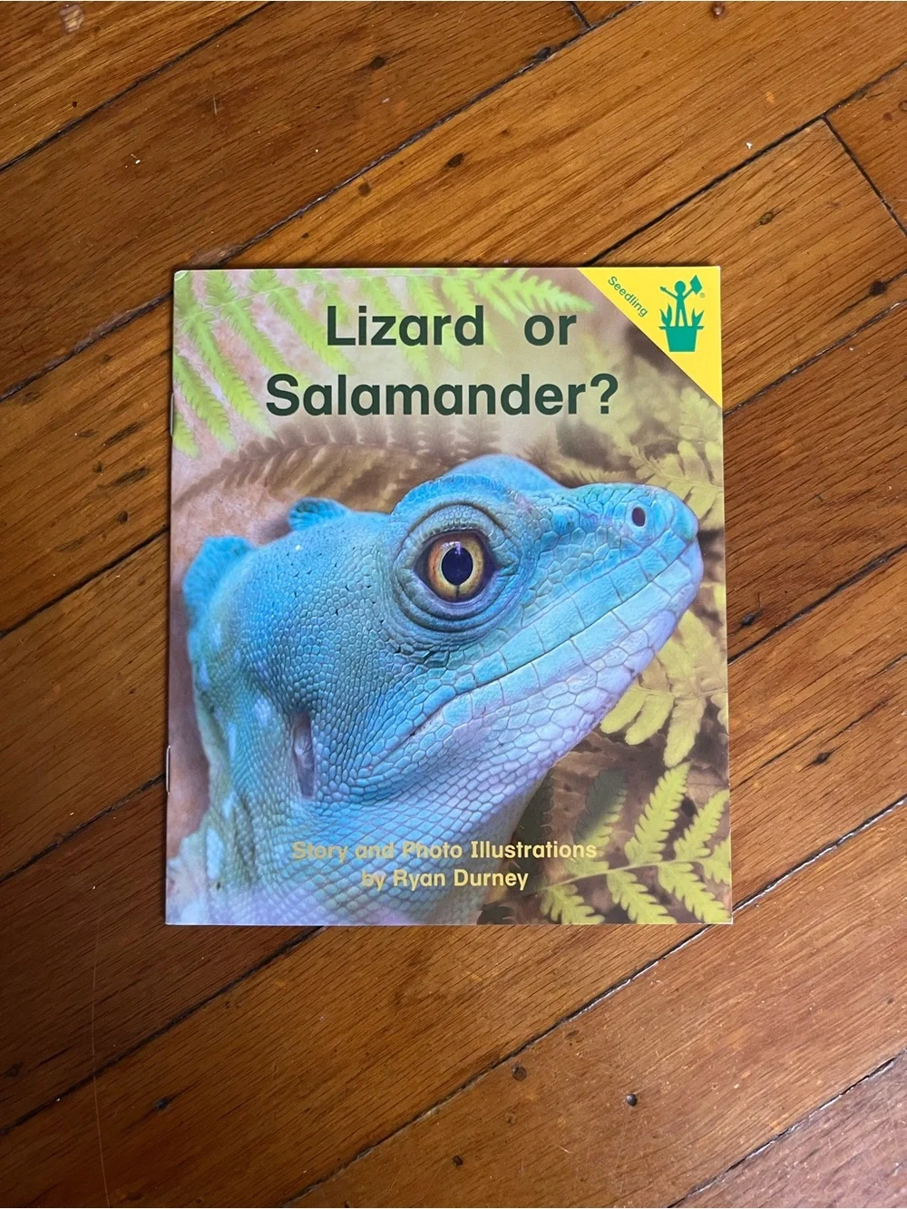 Lizard or Salamander? - Blue Cover Reptile Book by Ryan Durney